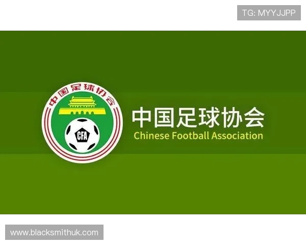 完美体育官方合作伙伴名单详解打造最专业的体育赛事生态圈 完美体育官方合作伙伴名单详解打造最专业的体育赛事生态圈