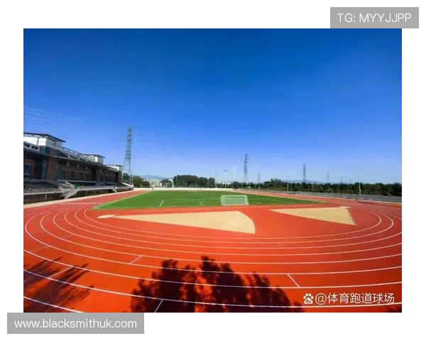 体育运动场文明标语在提升运动场管理水平中的应用与实践经验